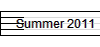 Summer 2011